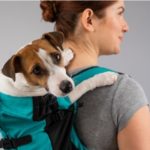 Woman carrying a Jack Russell Terrier in a backpack