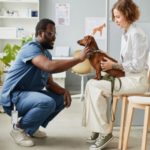 Veterinarian pets dog in owner's lap at veterinarian's office